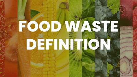 wasted übersetzung|wasted meaning in nutrition.